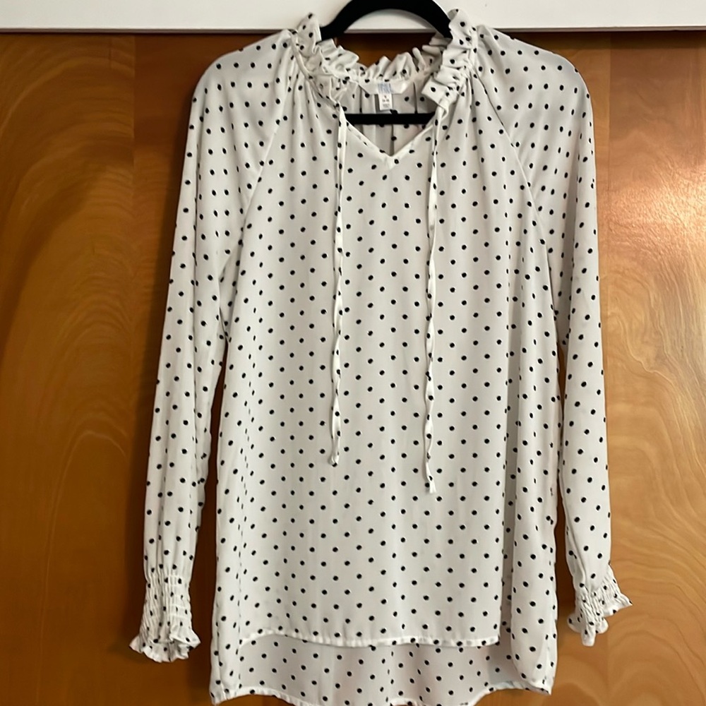 Polk dots blouse